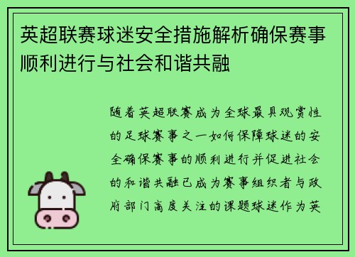 英超联赛球迷安全措施解析确保赛事顺利进行与社会和谐共融 英超联赛球迷安全措施解析确保赛事顺利进行与社会和谐共融